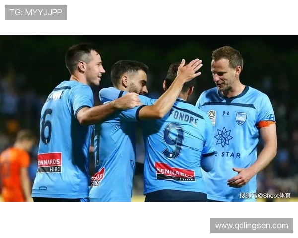 中央海岸与惠灵顿历年交锋记录分析及战绩回顾