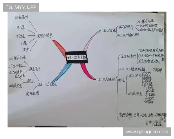 代怀博的成长之路与未来展望：从学术研究到社会实践的多元探索